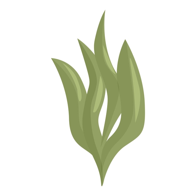 Planta de algas verdes que crece bajo el agua en el océano