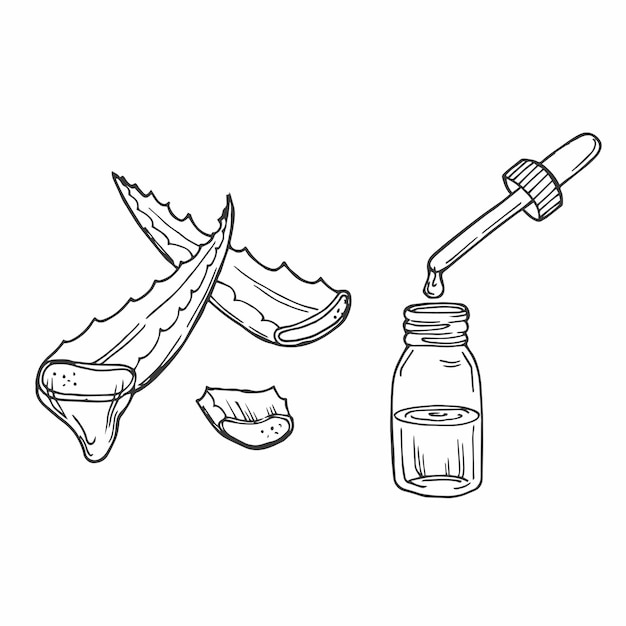 Planta de aloe vera y hojas cortadas con botella de suero y gotero Esbozo vectorial dibujado a mano