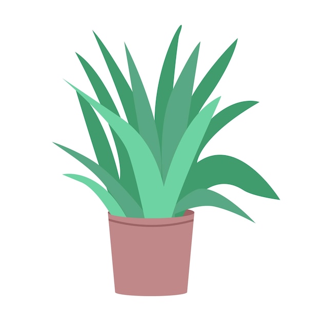 Planta de aloe vera en maceta objeto de vector de color semiplano Planta de interior Elemento de tamaño completo en blanco Cultivo suculento en casa ilustración de estilo de dibujos animados simple para diseño gráfico web y animación