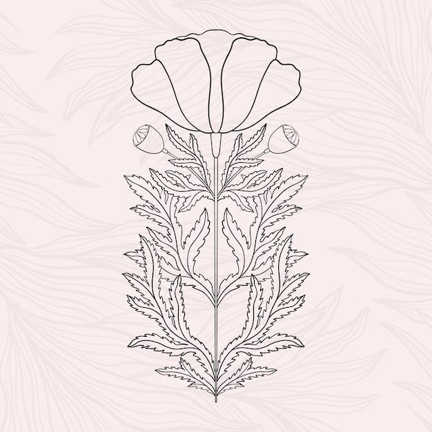 Vector planta de amapola floral en art nouveau 1920dibujada a mano en un estilo lineal con tejidos de hojas de líneas