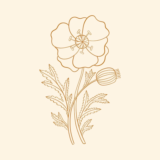 Vector planta de amapola floral en estilo art nouveau 19201930 dibujado a mano en un estilo lineal con tejidos de hojas y flores