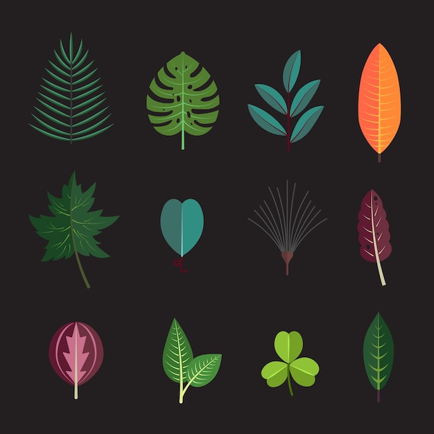 La planta del bosque de temporada deja los iconos de la colección. Hoja de árbol de otoño de flora decorativa.