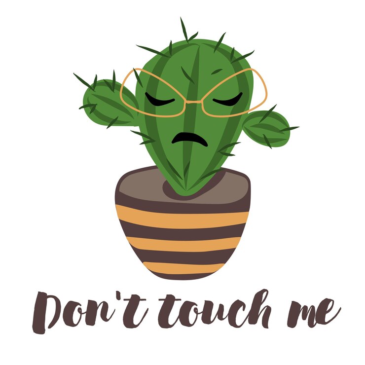 Planta de cactus enojado en maceta No me toques texto