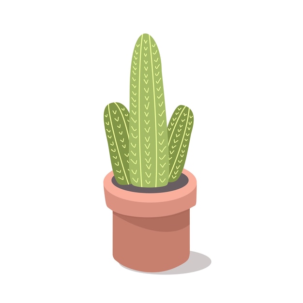 una planta de cactus en una maceta
