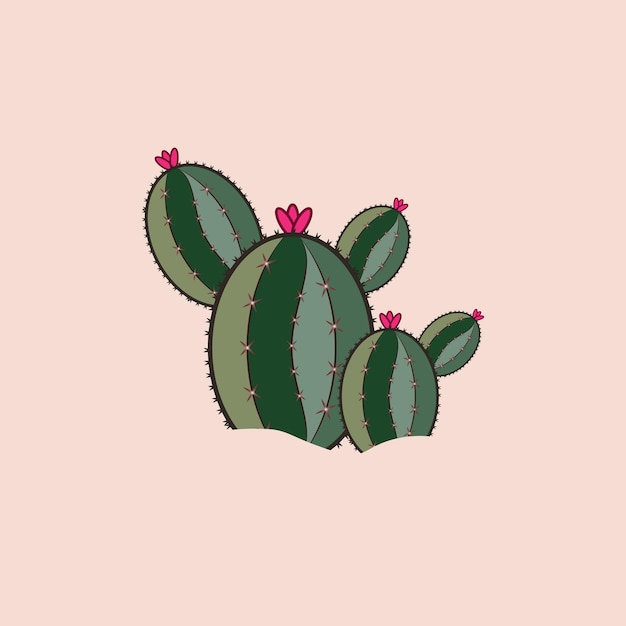 Vector planta de cactus natural verde conjunto de desierto entre arena y rocas ilustración vectorial realista aislar