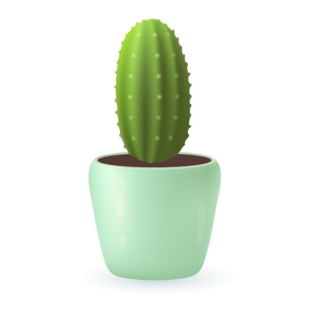 Planta de cactus verde de forma ovalada en maceta de menta ilustración 3D