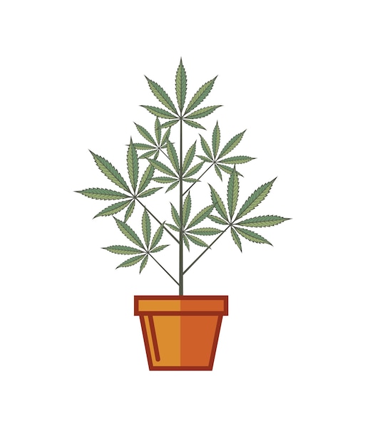 Vector planta de cannabis en maceta