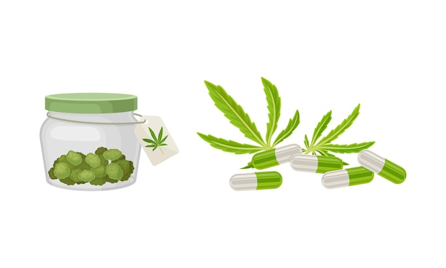 Planta de cannabis seca en frasco con etiqueta y conjunto de vectores de cápsulas