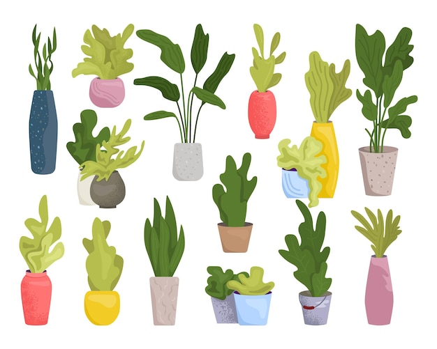 Planta de casa en maceta naturaleza verde para casa conjunto vector ilustración interior colección de decoración de flores