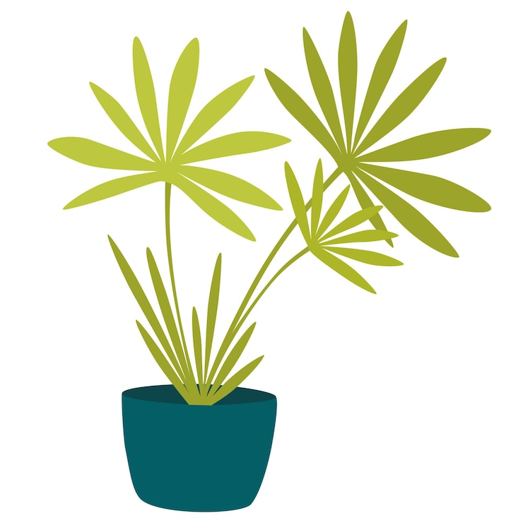 Vector planta de casa en maceta planta de interior de follaje que crece en maceta decoración de hojas verdes para el interior del hogar decoración interior natural ilustración vectorial dibujada a mano aislada en fondo blanco