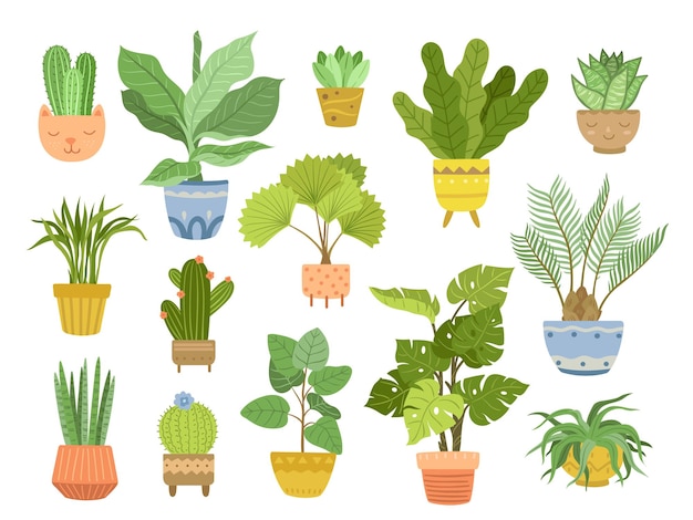 Planta de casa en macetas Maceta de plantas de casa con flores verdes Plantas de interior planas cactus suculentas para oficina Conjunto de vectores exactos de jardinería