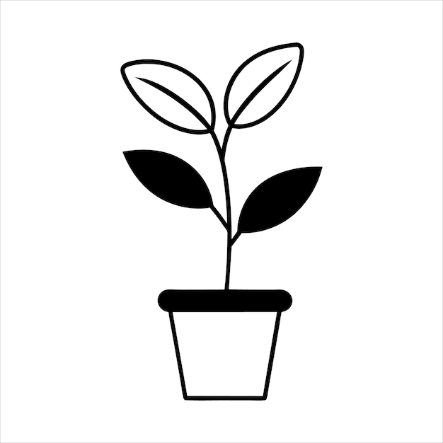 Planta de la casa en una olla Negro y Blanco