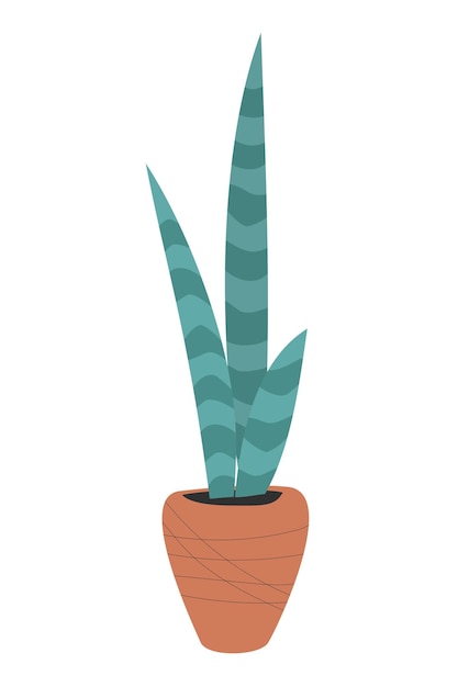 Planta casera de aloe vera en una olla sobre fondo blanco. Diseño floral de plantas. elemento de diseño