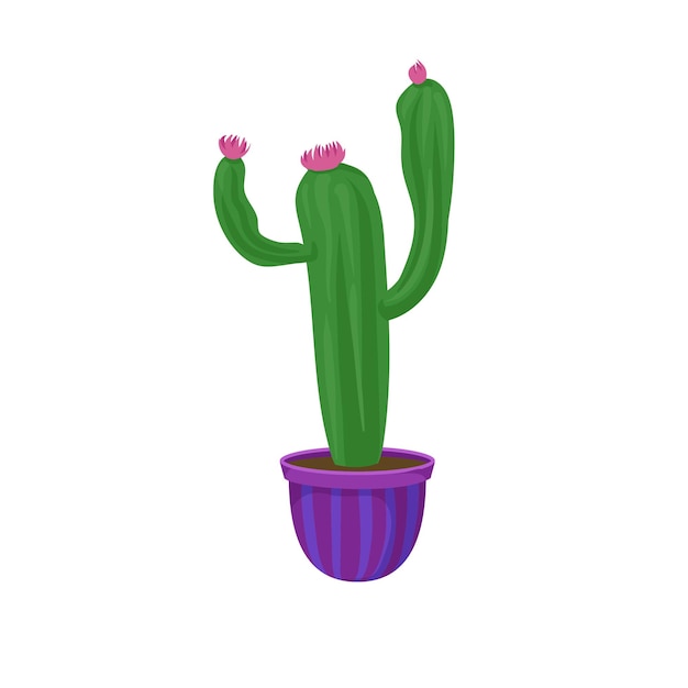 Planta casera de cactus floreciente en un vector de dibujos animados de maceta Ilustración sobre un fondo blanco