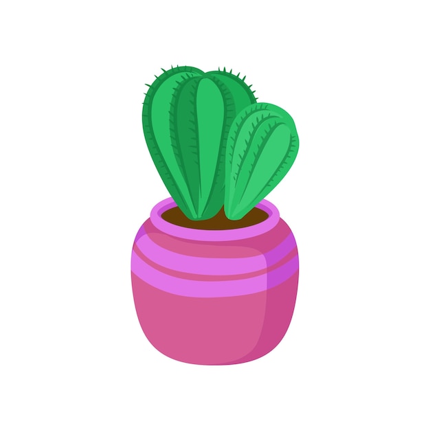 Planta casera de cactus en maceta en un vector de dibujos animados de maceta rosa Ilustración sobre un fondo blanco