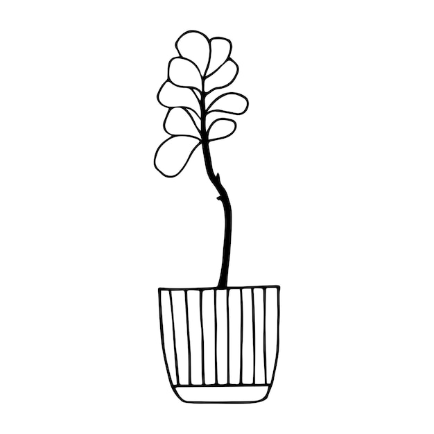 Planta casera en un dibujo de contorno en blanco y negro de maceta