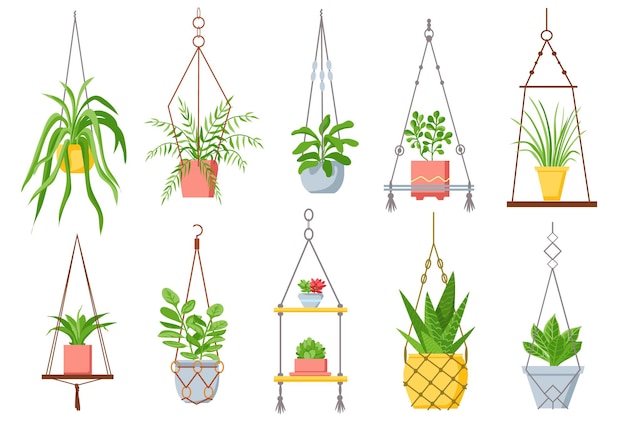Planta casera en maceta colgante. Planta de interior, suculentas y cactus en macetas sobre cuerda de macramé. Plantas decorativas en un acogedor conjunto de vectores de estilo escandinavo. Ilustración de planta de interior de interior