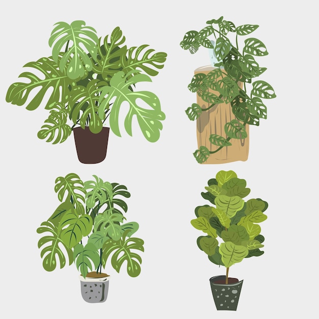 Vector planta de collage de arte hojas de ficus tropicales en un estilo minimalista de moda. silueta de una planta en un estilo abstracto simple contemporáneo. ilustración