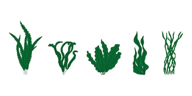 Planta de coral bajo el agua Ilustración vectorial al estilo escandinavo Algas marinas