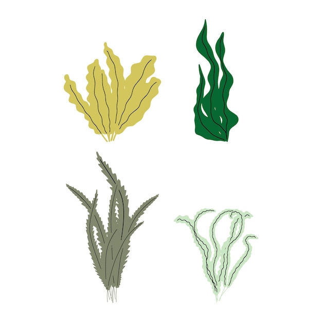 Planta de coral bajo el agua ilustración vectorial al estilo escandinavo algas marinas