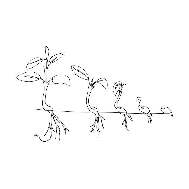 Planta en crecimiento continuo dibujo artístico de una línea de la ilustración vectorial del contorno de la planta del árbol