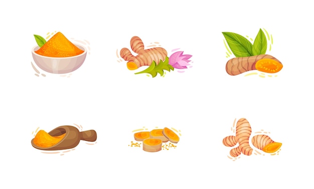 Planta de cúrcuma con raíz y pila de polvo en un conjunto vectorial de cuenco