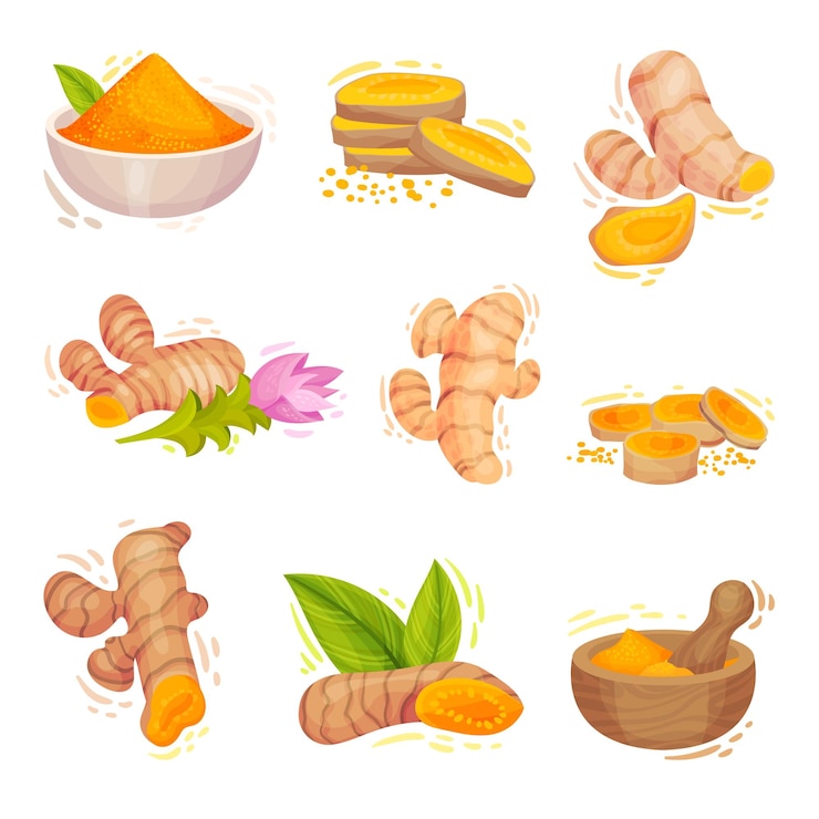 Vector planta de cúrcuma con raíz y polvo en un conjunto de vectores de cuenco