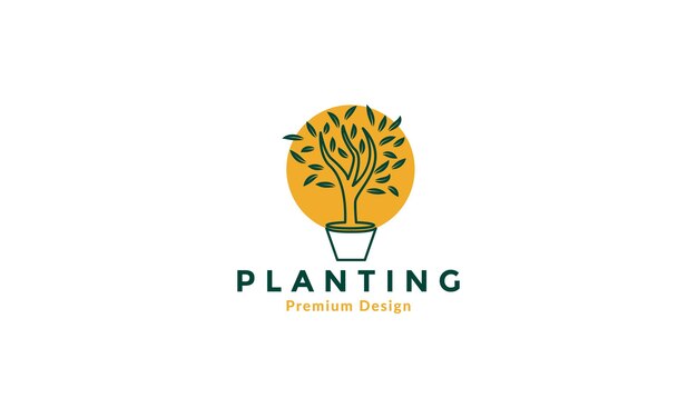 Planta decorativa con ilustración de diseño de icono de símbolo de vector de logo de puesta de sol