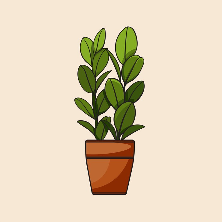 Una planta decorativa de interior en una olla de terracota con hojas verdes vibrantes en un fondo claro