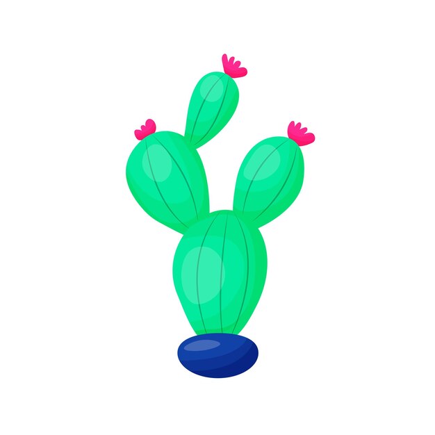 Planta de desierto de Cactus