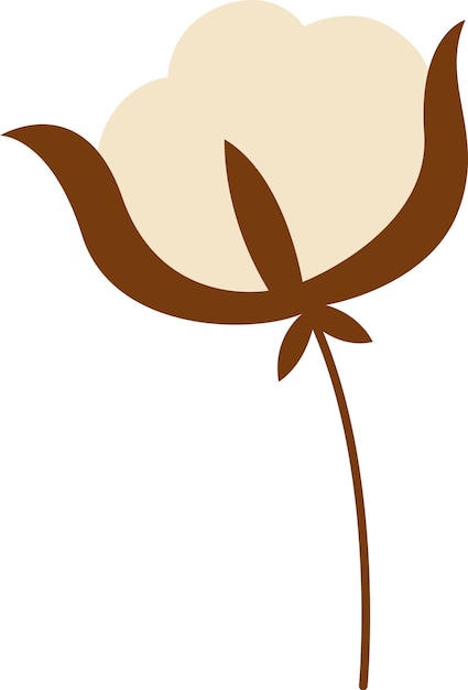 Planta de flor de algodón