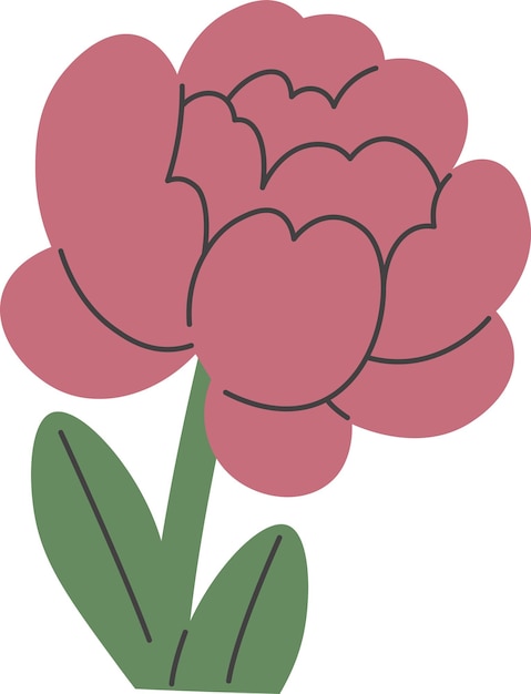 Planta de la flor de la rosa