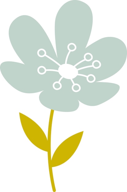 Planta de flores de primavera