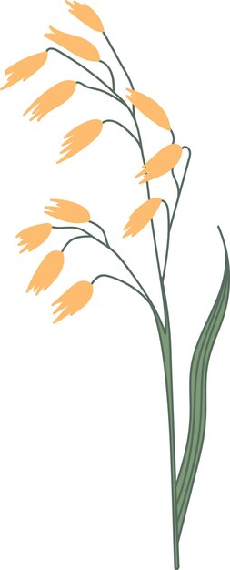 Planta de flores silvestres dibujada a mano