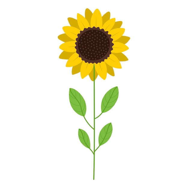 Planta de girasol con hojas verdes al estilo de las caricaturas. ilustración vectorial