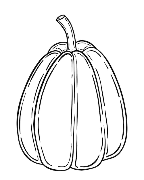 Planta herbácea de calabaza doodle lineal