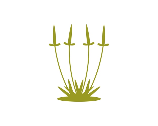 Vector planta de hierbas con fisioterapia