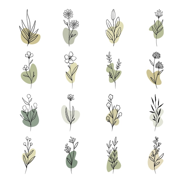 Planta y hojas con forma abstracta boho.