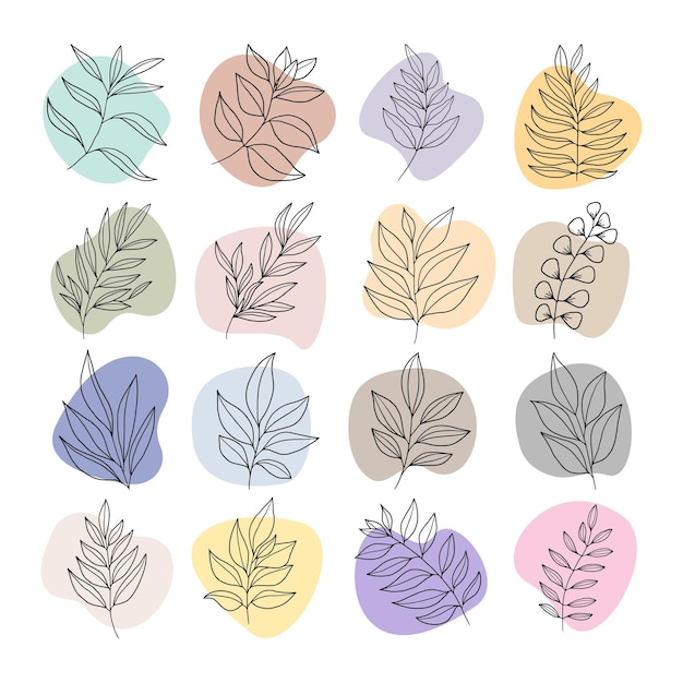Planta y hojas con forma abstracta boho.