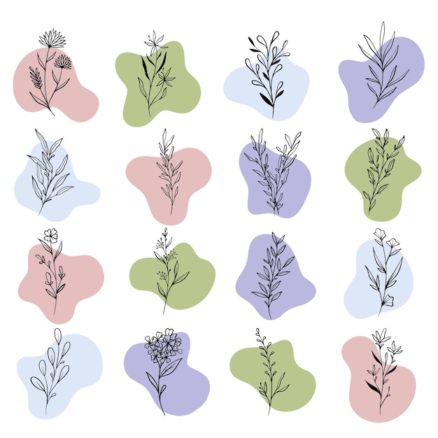 Planta y hojas con forma abstracta boho.
