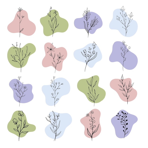 Planta y hojas con forma abstracta boho.
