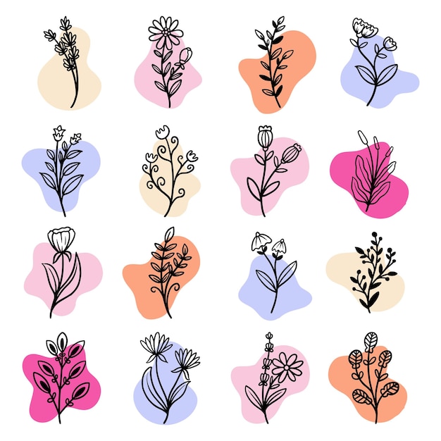 Planta y hojas con forma abstracta boho.