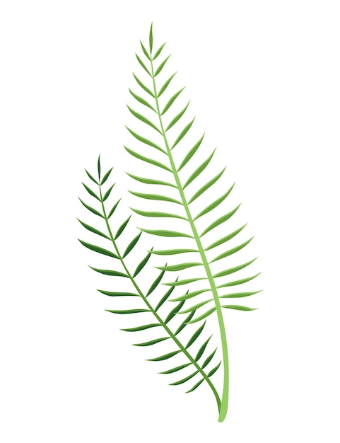 Planta de hojas tropicales follaje exótico planta de selva decorativa verde vector elemento gráfico botánico dibujado a mano