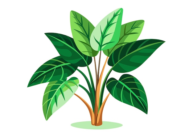 Vector una planta con hojas verdes en un fondo blanco