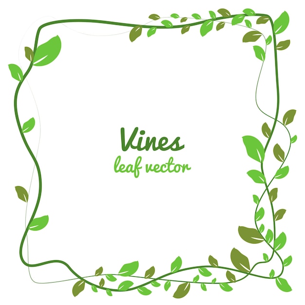 una planta de hojas verdes con una hoja verde que dice vegetativa