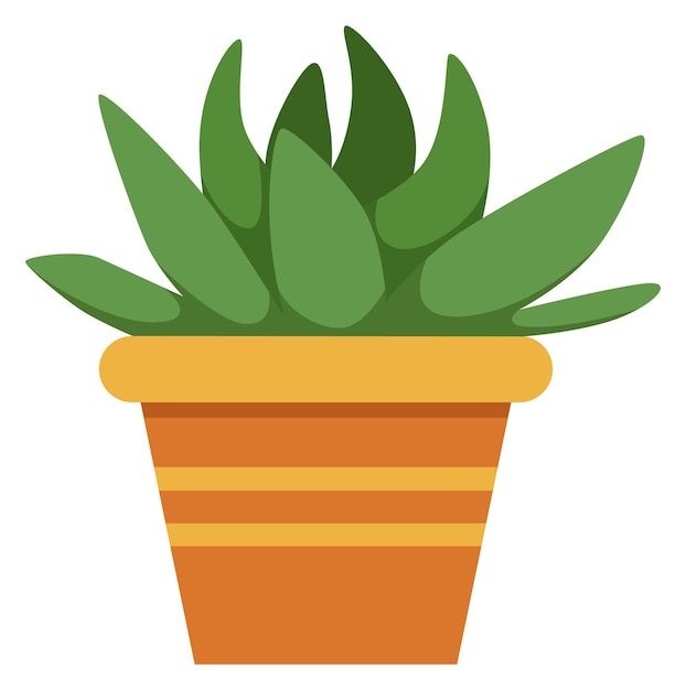 Planta de interior de aloe Planta verde en maceta Decoración del hogar