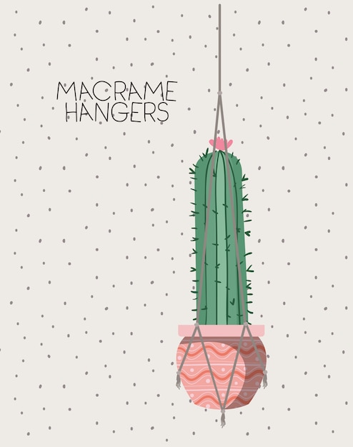 Planta de interior de cactus en perchas de macramé
