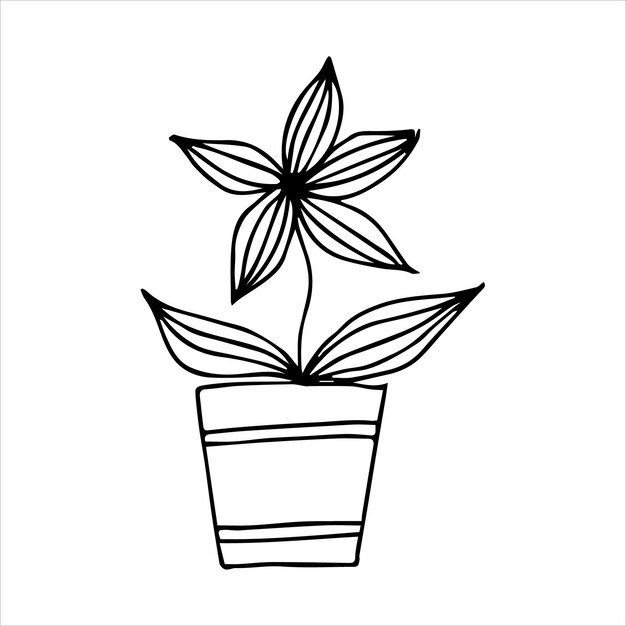 Planta de interior dibujada a mano en un diseño de garabato de maceta Plantas caseras Ilustración