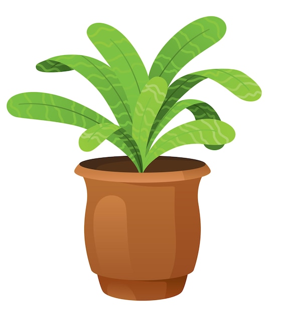 Vector planta de interior con hojas en maceta concepto de jardinería icono vectorial 3d estilo minimalista de dibujos animados