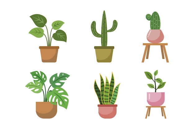 Planta de interior en una ilustración plana de colección de macetas aislada sobre fondo blanco